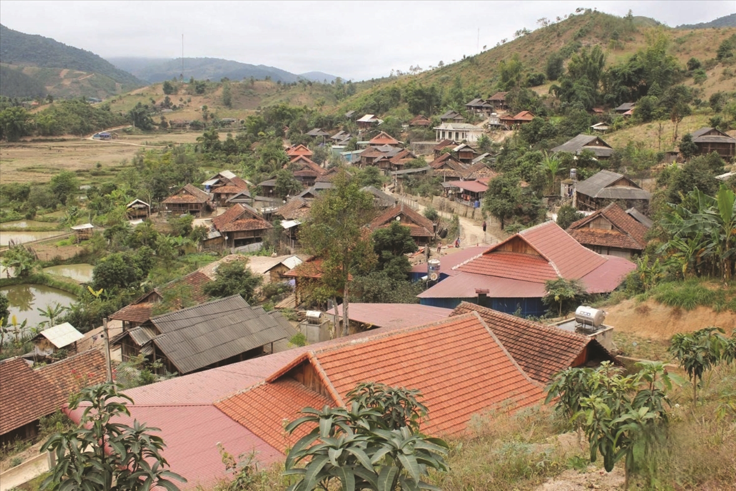  Một góc xã Púng Bánh, tỉnh Sơn La