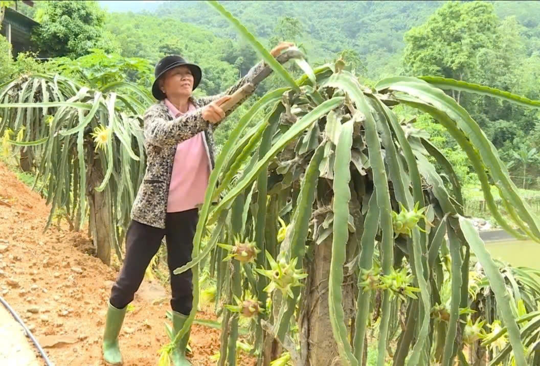 Bà Hứa Thị Xuân, Người có uy tín điển hình phát triển kinh tế hộ gia đình tại địa phương