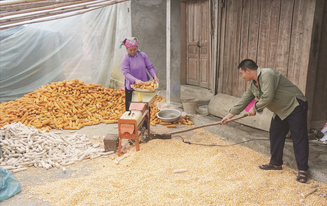 Đời sống của Nhân dân các dân tộc ở Mường Khương ngày càng ấm no, hạnh phúc