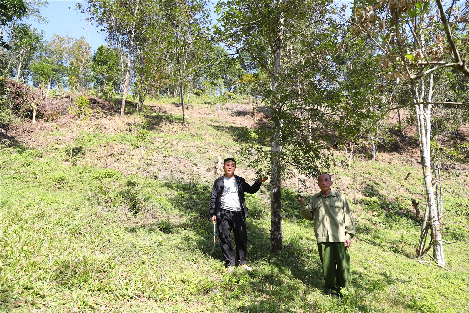 Ông Hoàng Văn Sang bên vườn hồi của gia đình