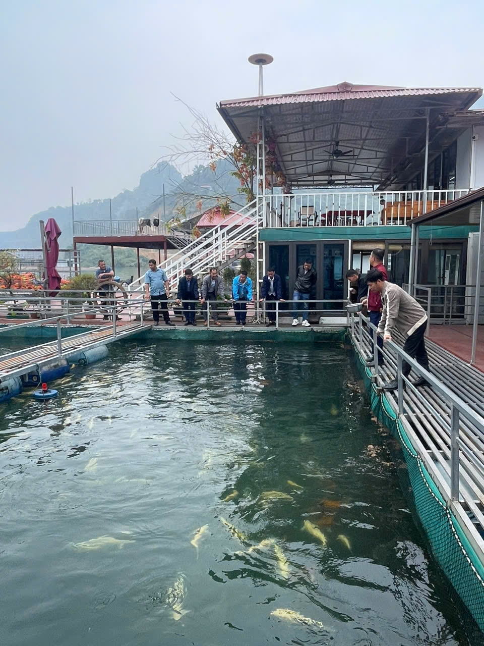 Các đại biểu thăm quan mô hình nuôi cá lồng tại phường Hoà Bình, tỉnh Phú Thọ