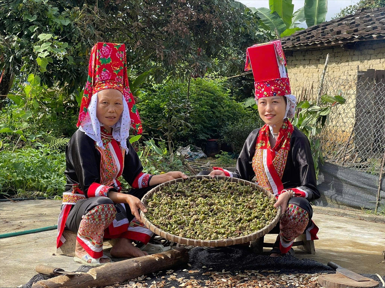 Chị Chíu Thị Hiền chia sẻ các vị thuốc truyền thống để đăng trên Tiktok