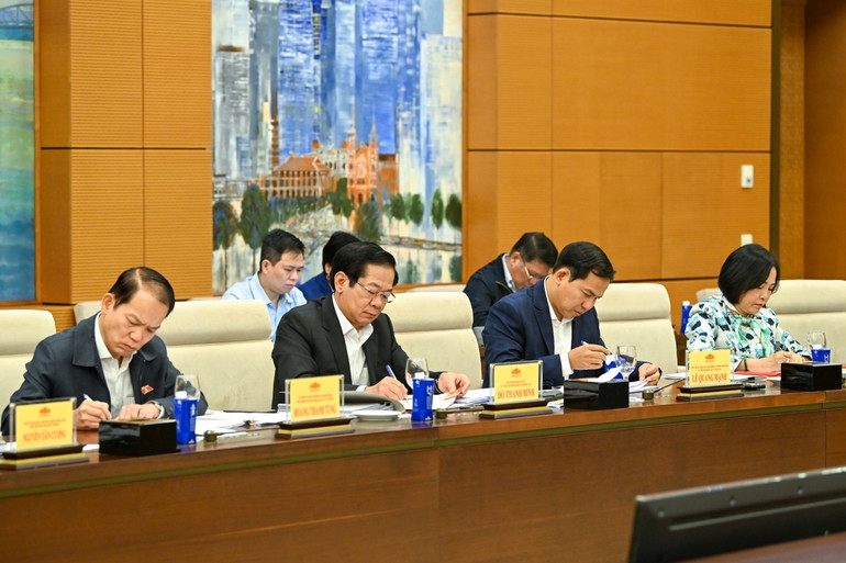 Các đại biểu dự phiên họp. (Ảnh: Duy Linh) 