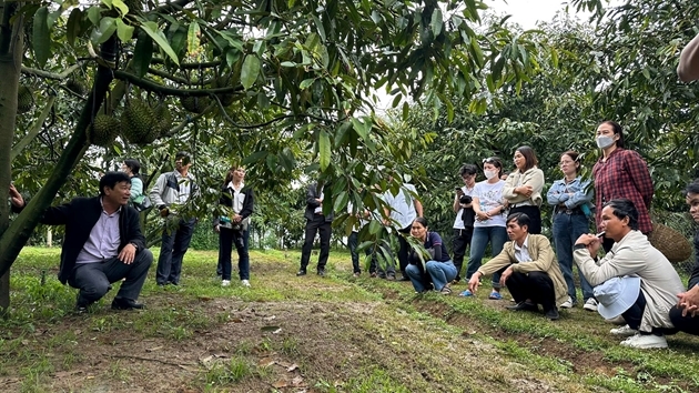 Tỉnh Lâm Đồng định hướng tiếp tục hoàn thiện cơ chế, nhân rộng mô hình hiệu quả