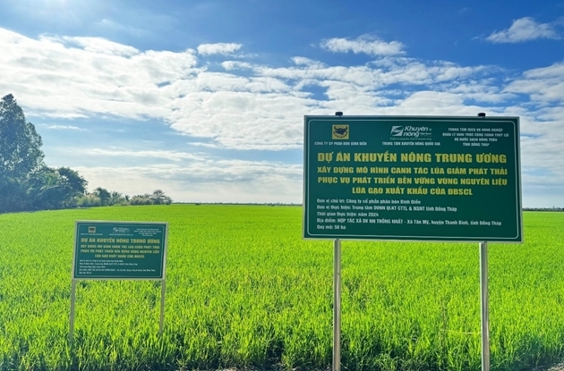 Mô hình sản xuất lúa chất lượng cao, phát thải thấp tại HTX Thống Nhất, xã Tân Mỹ, huyện Thanh Bình, tỉnh Đồng Tháp 