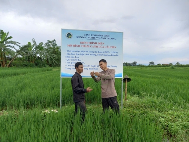 Xuất khẩu nông sản của Gia Lai tăng trưởng mạnh nhờ chuẩn hóa