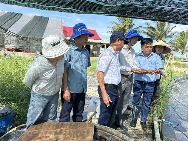 Nuôi tôm hai giai đoạn giúp kiểm soát môi trường ngay từ đầu vụ nuôi