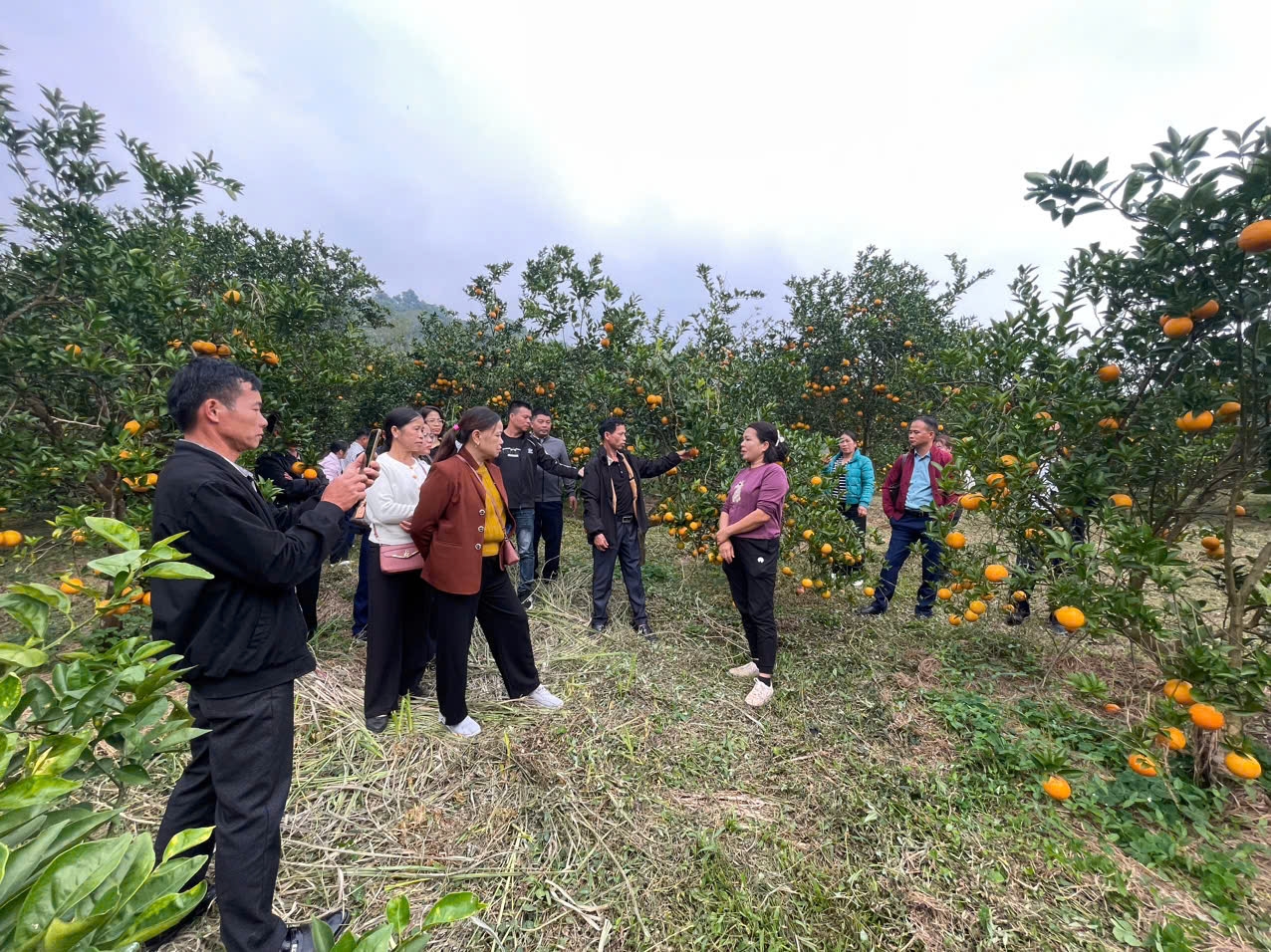 Đoàn cán bộ xã, thôn đi thăm quan, học tập, trao đổi kinh nghiệm theo Dự án 5: Đào tạo, nâng cao năng lực cho cộng đồng và cán bộ triển khai Chương trình ở các cấp của Chương trình MTQG phát triển kinh tế - xã hội vùng đồng bào DTTS và miền núi.