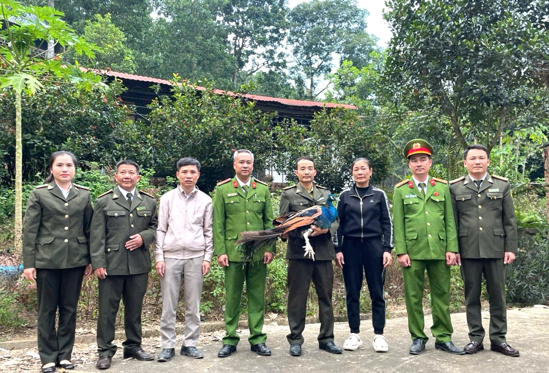 Lực lượng chức năng bàn giao các cá thể động vật quý hiếm cho Vườn Quốc gia Xuân Liên