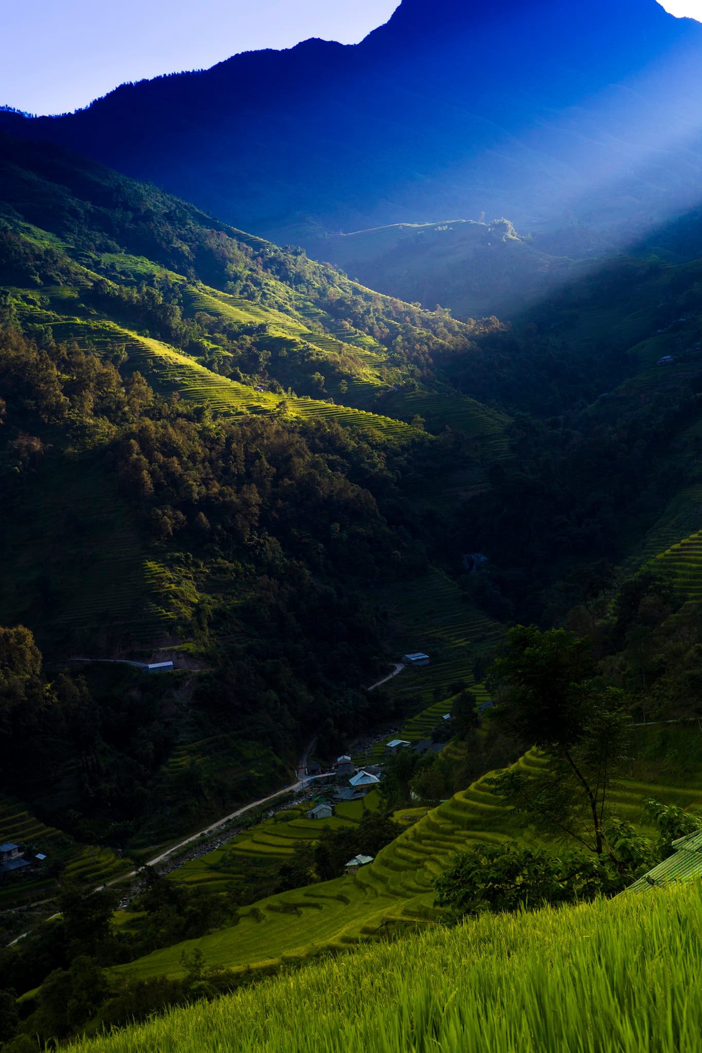 Khung cảnh trùng điệp của những thửa ruộng bậc thang dưới chân dãy Tây Côn Lĩnh tại xã Lao Chải, tỉnh Tuyên Quang