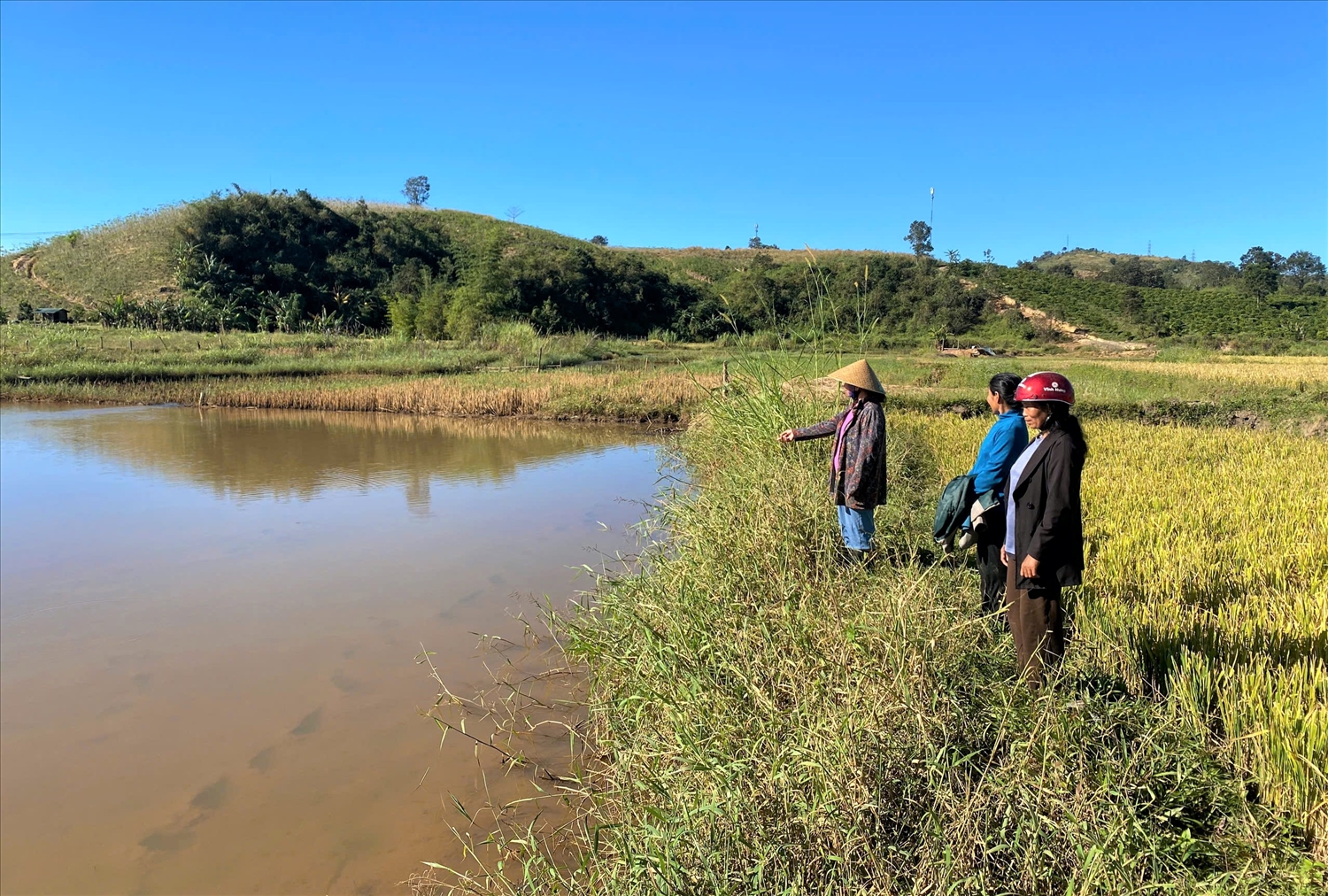 Thủy điện Đăk Bla 1 tích nước, vận hành hơn 8 năm, là từng ấy năm 14 hộ đồng bào DTTS bị mất đất trồng lúa kiến nghị nhưng chưa được giải quyết. (Ảnh: Ngọc Chí)