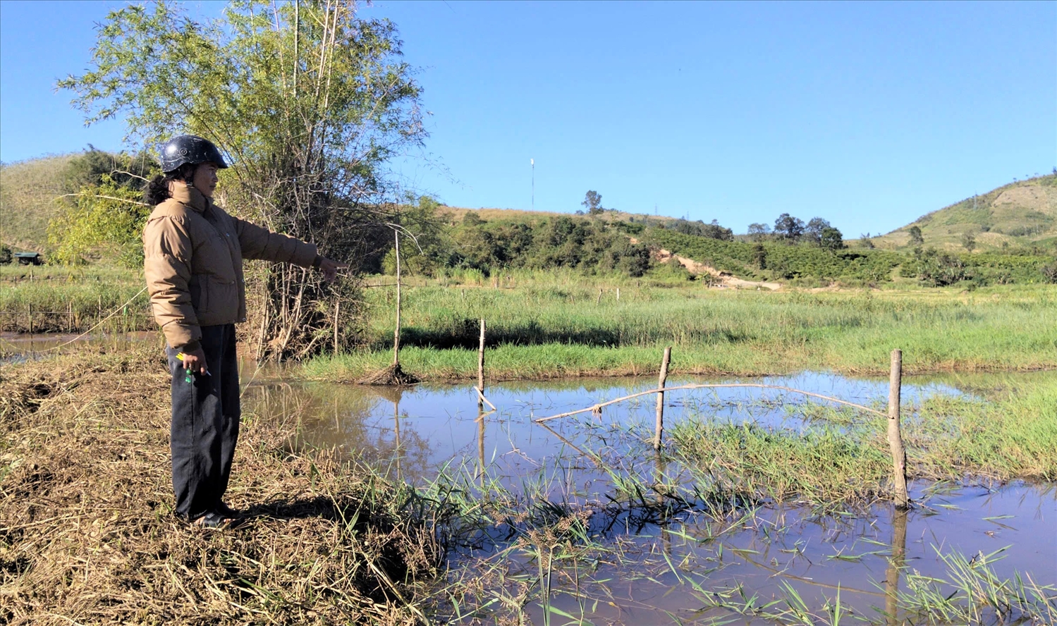 Chị Y Biên, thôn 12, xã Kon Braih bên mảnh ruộng bị ngập do thủy điện Đăk Bla 1 tích nước. (Ảnh: Ngọc Chí)