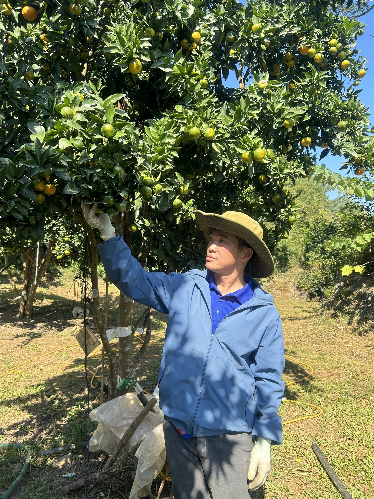 Khi nắm chắc pháp luật, người dân yên tâm sản xuất, phát triển kinh tế gia đình