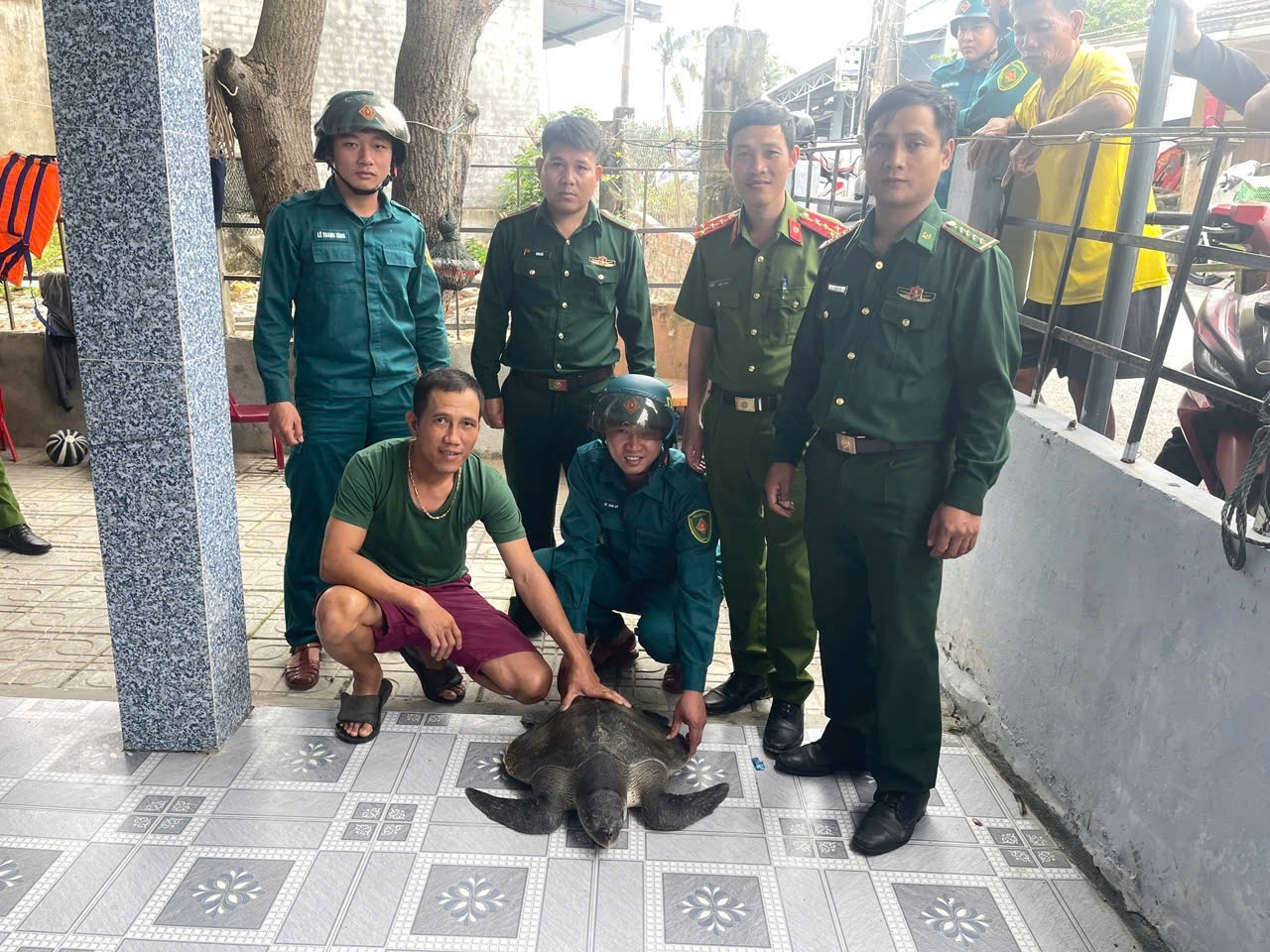 Ông Giới bàn giao cá thể đồi mồi dứa cho lực lượng chức năng. (Ảnh TX)