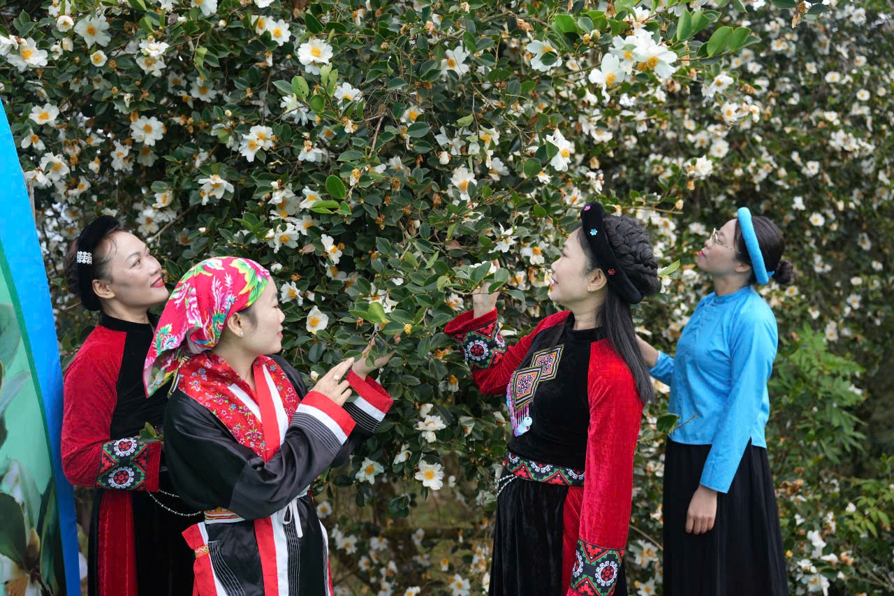 Người dân và du khách hào hứng chụp ảnh bên cạnh hoa Sở