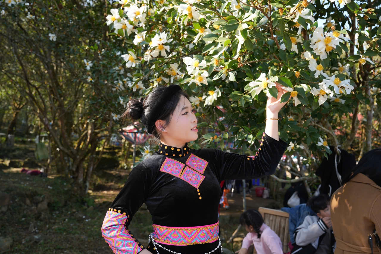 Hình ảnh thiếu nữ duyên dáng bên hoa Sở