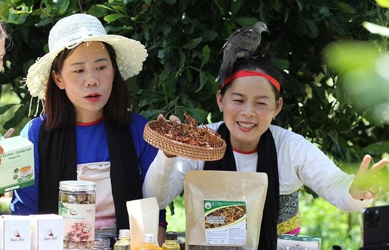 Nhiều mô hình của thanh niên dân tộc thiểu số phát huy hiệu quả rõ nét, góp phần nâng cao thu nhập, giải quyết việc làm tại chỗ.