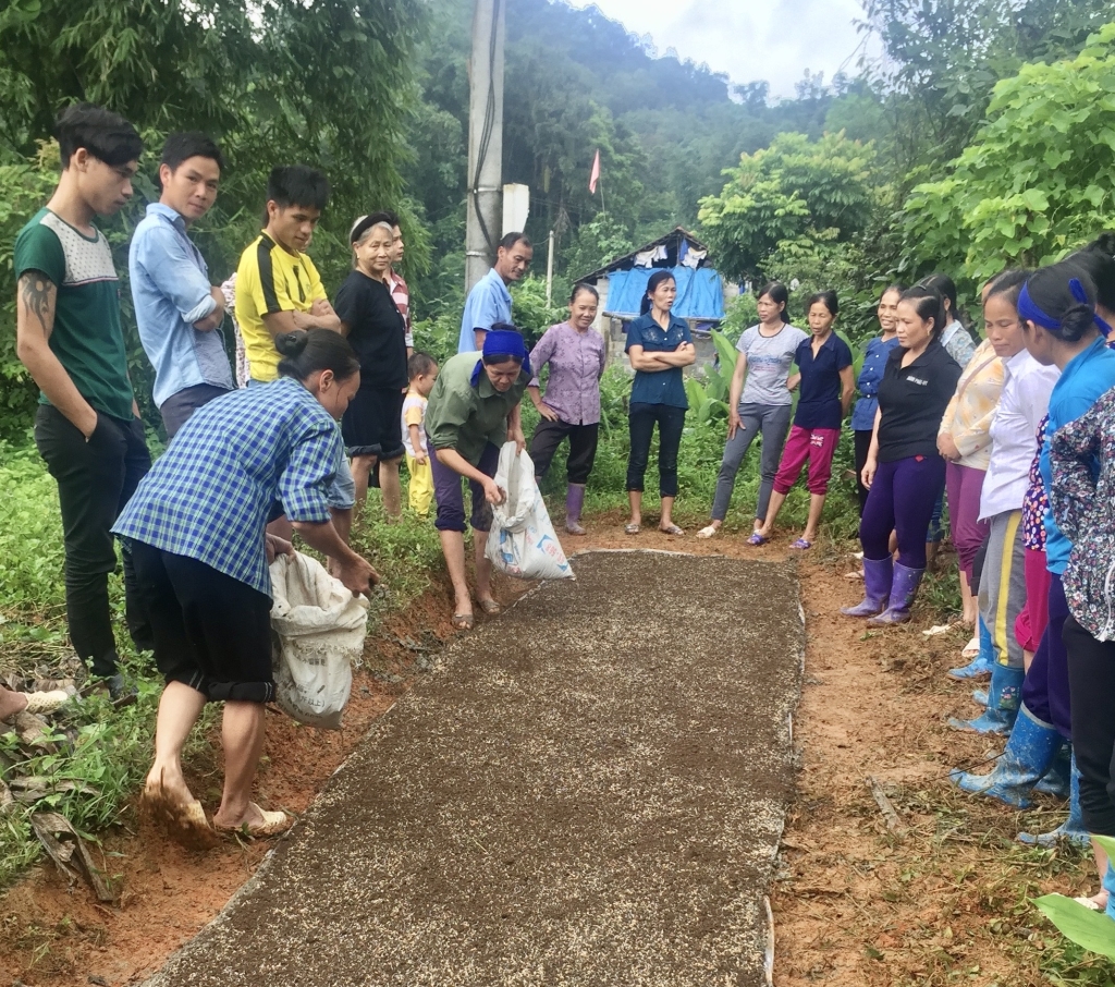 Hiện 50% lao động trong độ tuổi của tỉnh Cao Bằng đã được đào tạo nghề phù hợp với nhu cầu, điều kiện của người DTTS và đặc thù vùng đồng bào DTTS và miền núi.