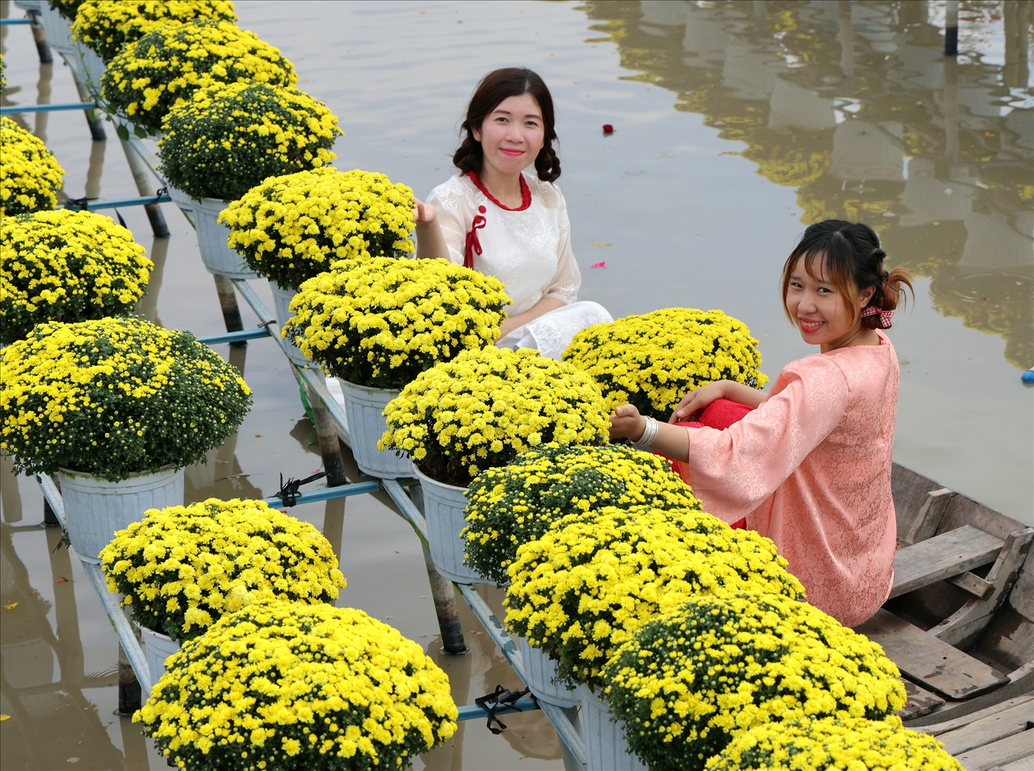 Dự kiến tại Festival lần này, Sa Đéc sẽ cung ứng khoảng 140.000 giỏ hoa kiểng, gồm 30.000 giỏ cúc mâm xôi truyền thống, 22.400 giỏ cúc mâm xôi màu mới, 12.500 giỏ cúc pico cùng nhiều loại hoa khác như xác pháo, cúc tiger, hoa hồng, rau dừa…