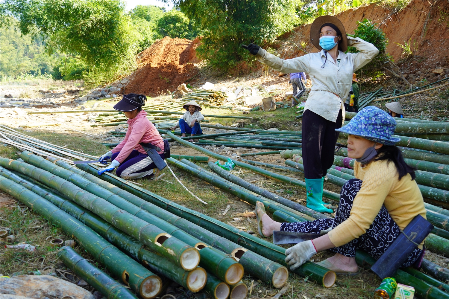 Các hộ dân tích cực vận chuyển tre, luồng và vật liệu sẵn có để hoàn thiện cầu