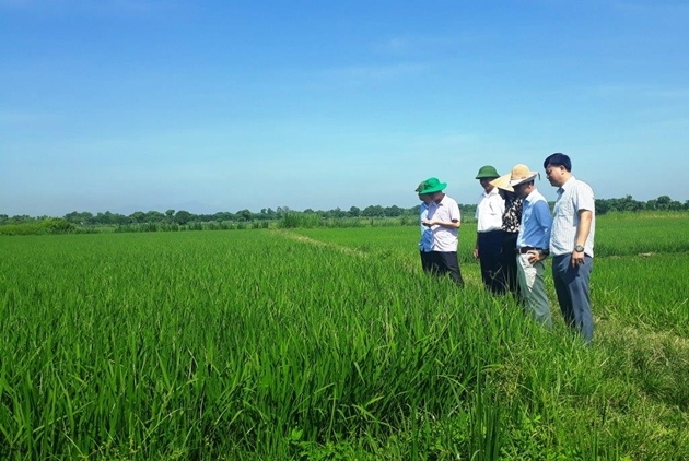 Thanh Hóa xác định xác định mục tiêu chiến lược xây dựng nền nông nghiệp hiện đại, xanh và bền vững