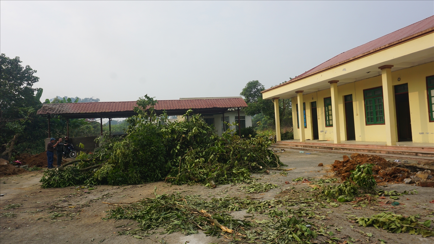 Công tác giải phóng mặt bằng phục vụ cho dự án đường sắt tốc độ cao được tỉnh Lào Cai tiến hành khẩn trường, công khai, minh bạch (ảnh Trọng Bảo)