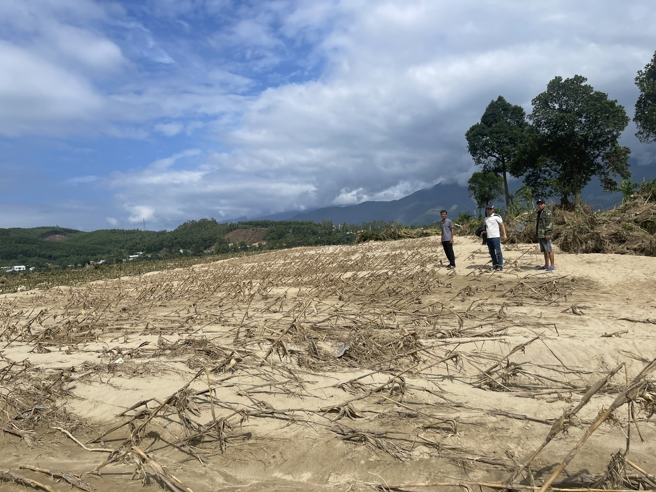 Nhiều hecta đất sản xuất của người dân xã Hà Nha bị bồi lấp sau lũ. (Ảnh Huy Trường)