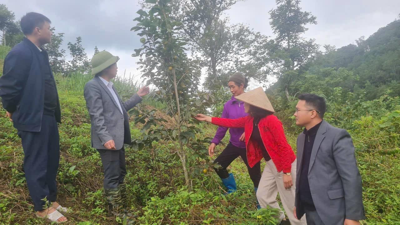 Lãnh đạo xã Thụy Hùng thăm hỏi, động viên các mô hình hỗ trợ cây trồng, vật nuôi trên địa bàn