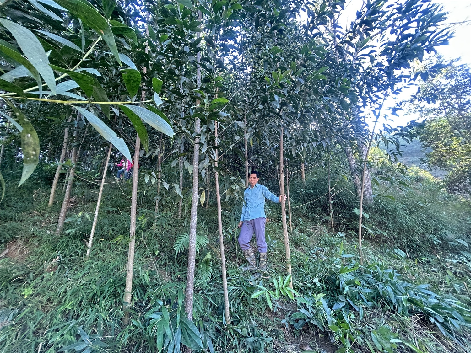 Đội ngũ Người có uy tín trên địa bàn xã Thiện Hoà ngoài vai trò là cầu nối giữ Nhà nước với Nhân dân còn là những tấm gương đi đầu trong phát triển kinh tế 