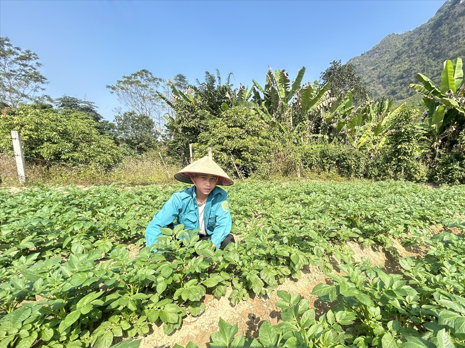 Sau hơn 4 năm triển khai Chương trình MTQG giảm nghèo bền vững giai đoạn 2021–2025, diện mạo kinh tế – xã hội của xã Yên Bình đã có nhiều khởi sắc. 