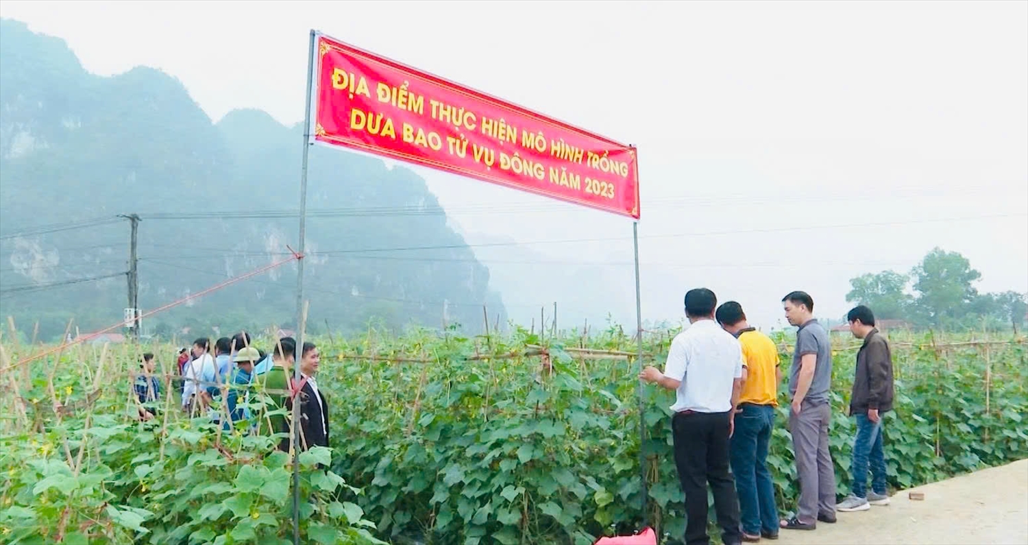 Triển khai Chương trình mục tiêu quốc gia Giảm nghèo bền vững, xã Yên Bình đã chú trọng thực hiện các giải pháp để giảm nghèo thông tin cho người dân