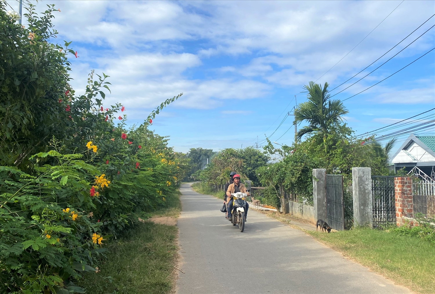 Các tuyến đường nội thôn, liên thôn được đầu tư cứng hóa, tạo điều kiện thuận lợi cho Nhân dân đi lại. Ảnh: Ngọc Chí