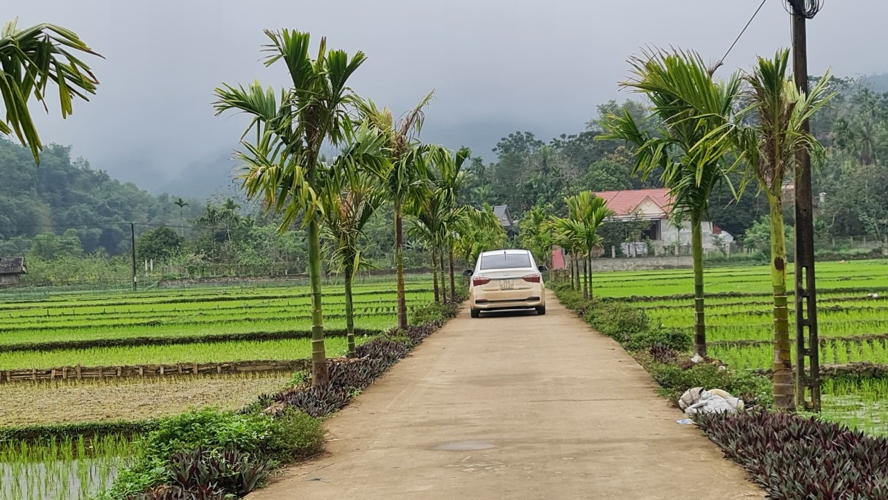 Người dân chung sức xây dựng nông thôn mới, góp phần đổi thay diện mạo các vùng quê Thanh Hóa. (ảnh Quỳnh Trâm)