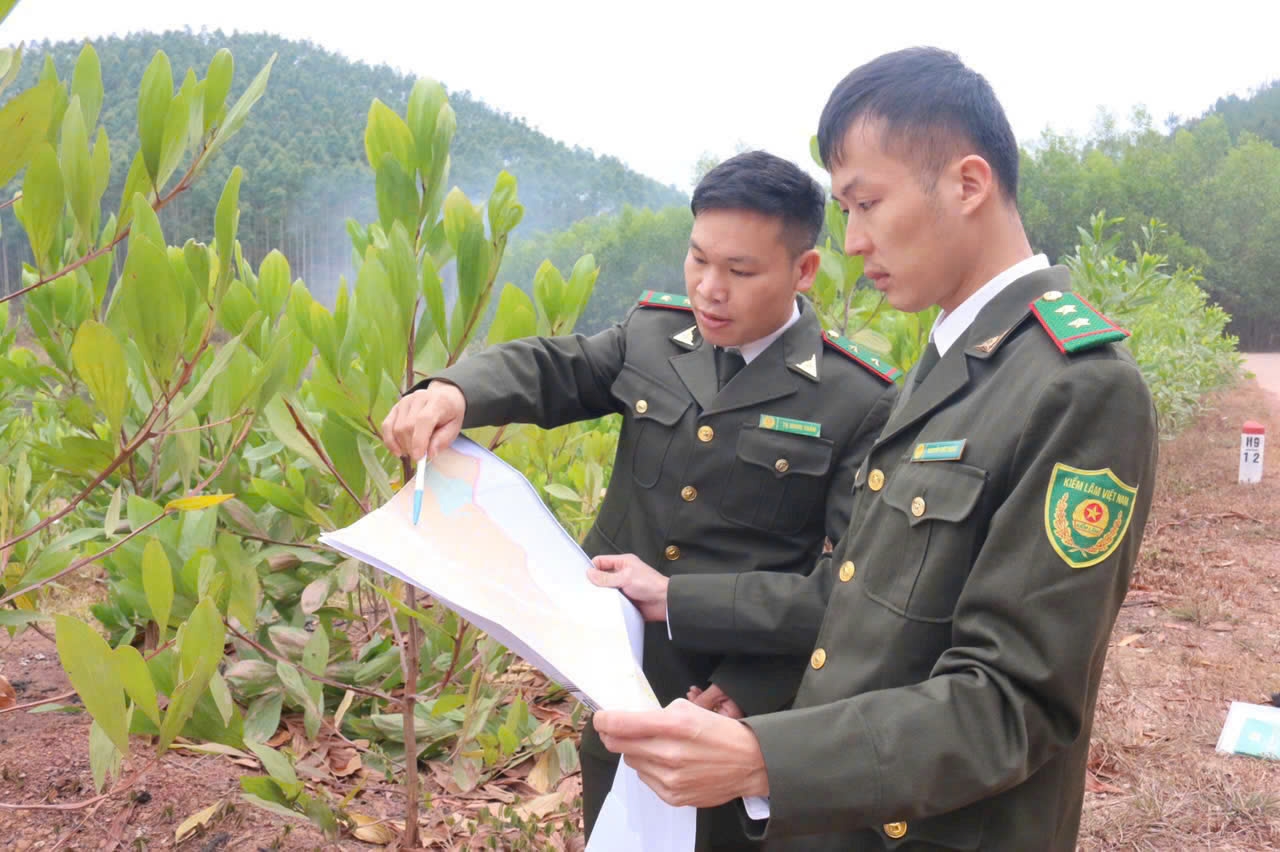 Cán bộ kiểm lâm tỉnh Lạng Sơn theo dõi diễn biến rừng 