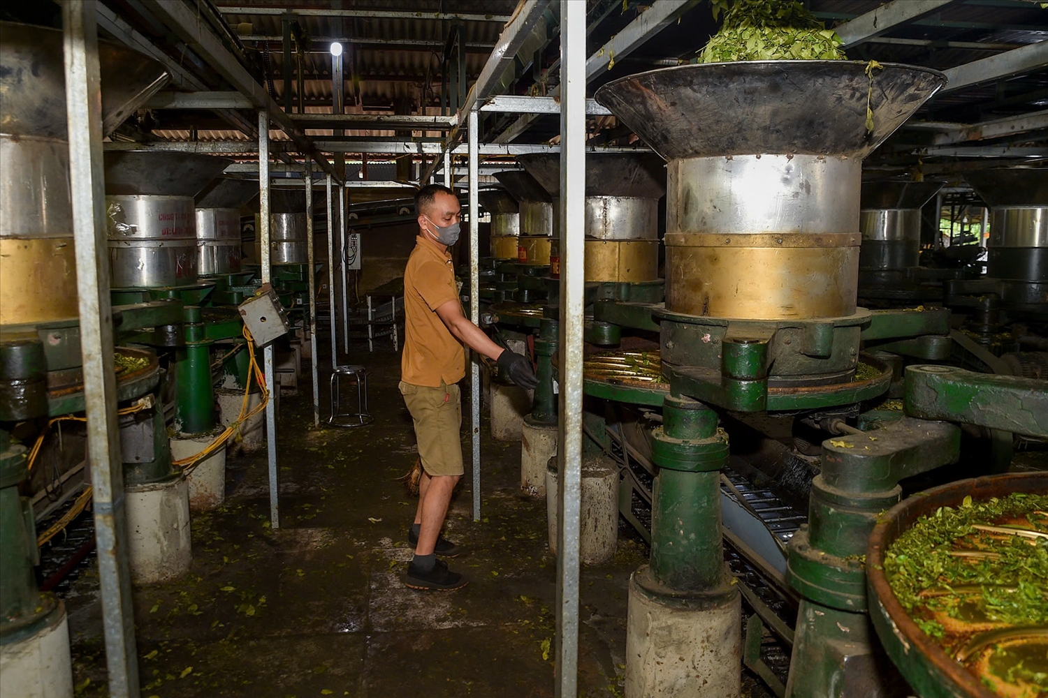 Hoạt động sản xuất tại xưởng chế biến chè tại xã Tân Uyên.