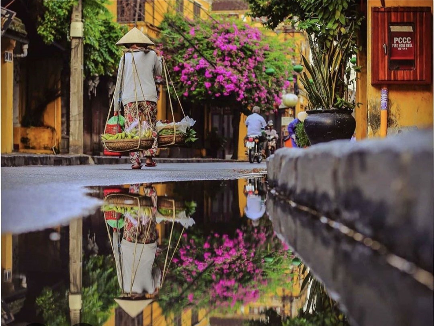 Chính quyền TP. Đà Nẵng đã và đang xây dựng các giải pháp phòng ngừa, ứng phó và bảo tồn bền vững cho khu di sản.