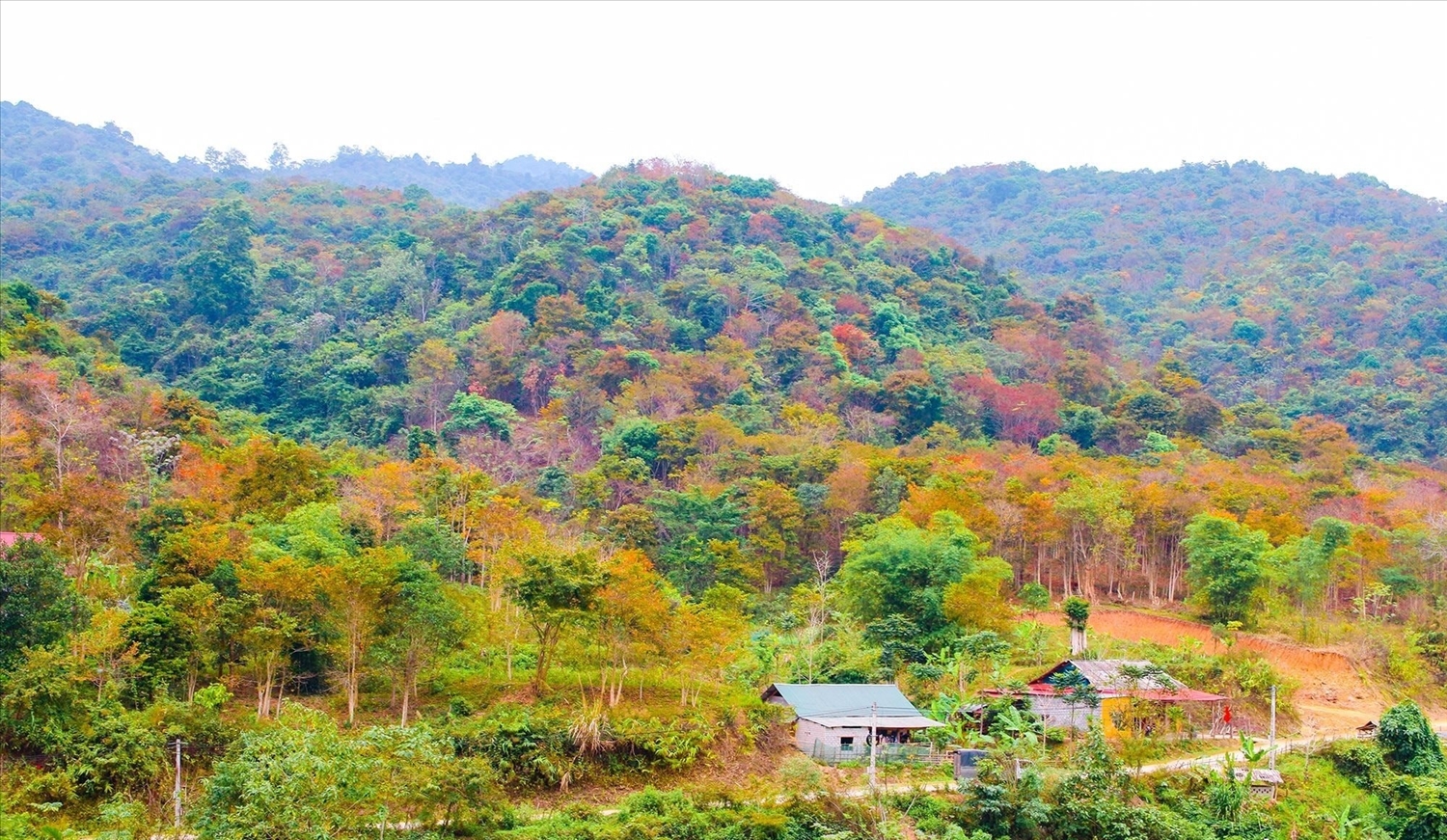 Vẻ đẹp của núi rừng miền Tây Nghệ An vào mùa Đông - Ảnh: Đình Tuân