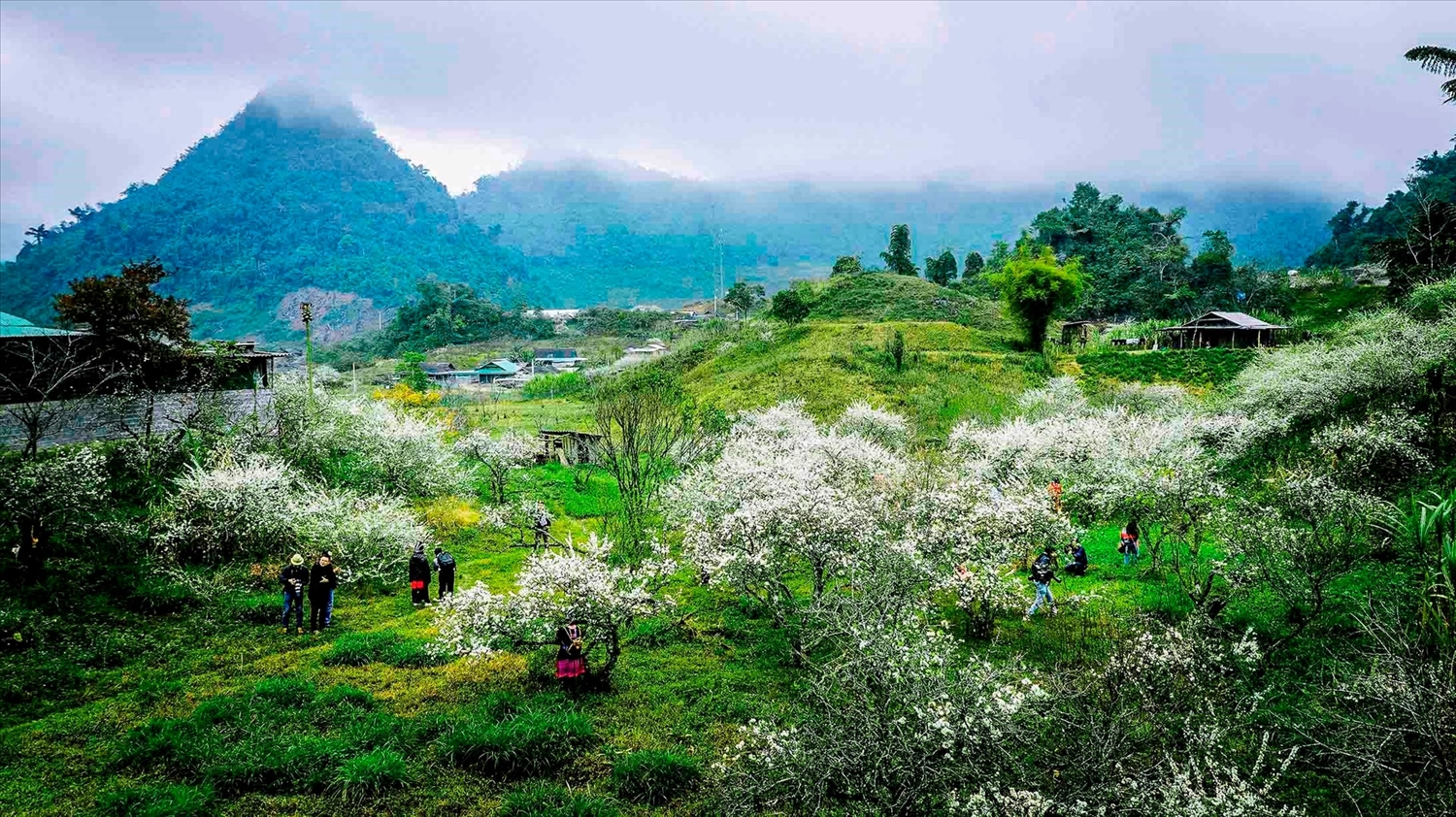 Mường Lống đẹp như miền cổ tích khi Đông đến - Ảnh: Nhật Thanh