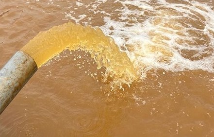 Phèn sẽ tác động xấu đến môi trường nước cũng như đến tôm trong ao nuôi, đất phèn thường đi đôi với pH thấp, lượng canxi, Mg cũng rất ít làm mất cân bằng áp suất thẩm thấu giữa tôm và môi trường nước.