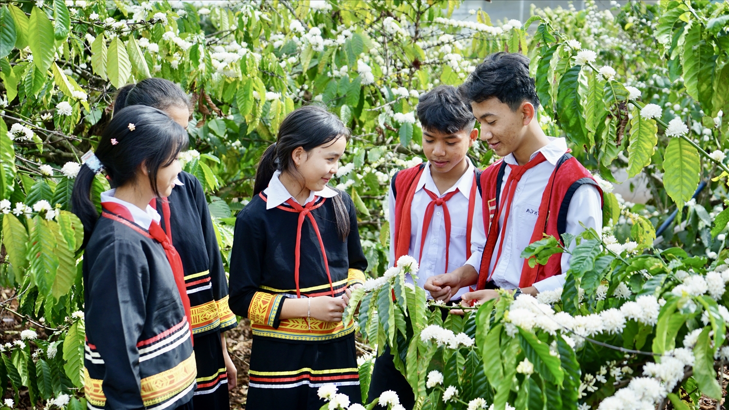 Em Rơ Châm Hằng (ở giữa) cùng bạn bè lưu lại khoảnh khắc đẹp của mùa hoa cà phê trên quê hương Gia Lai