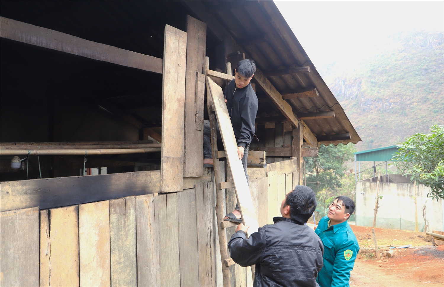 Hỗ trợ các tân binh sửa chữa nhà cửa trước khi lên đường nhập ngũ