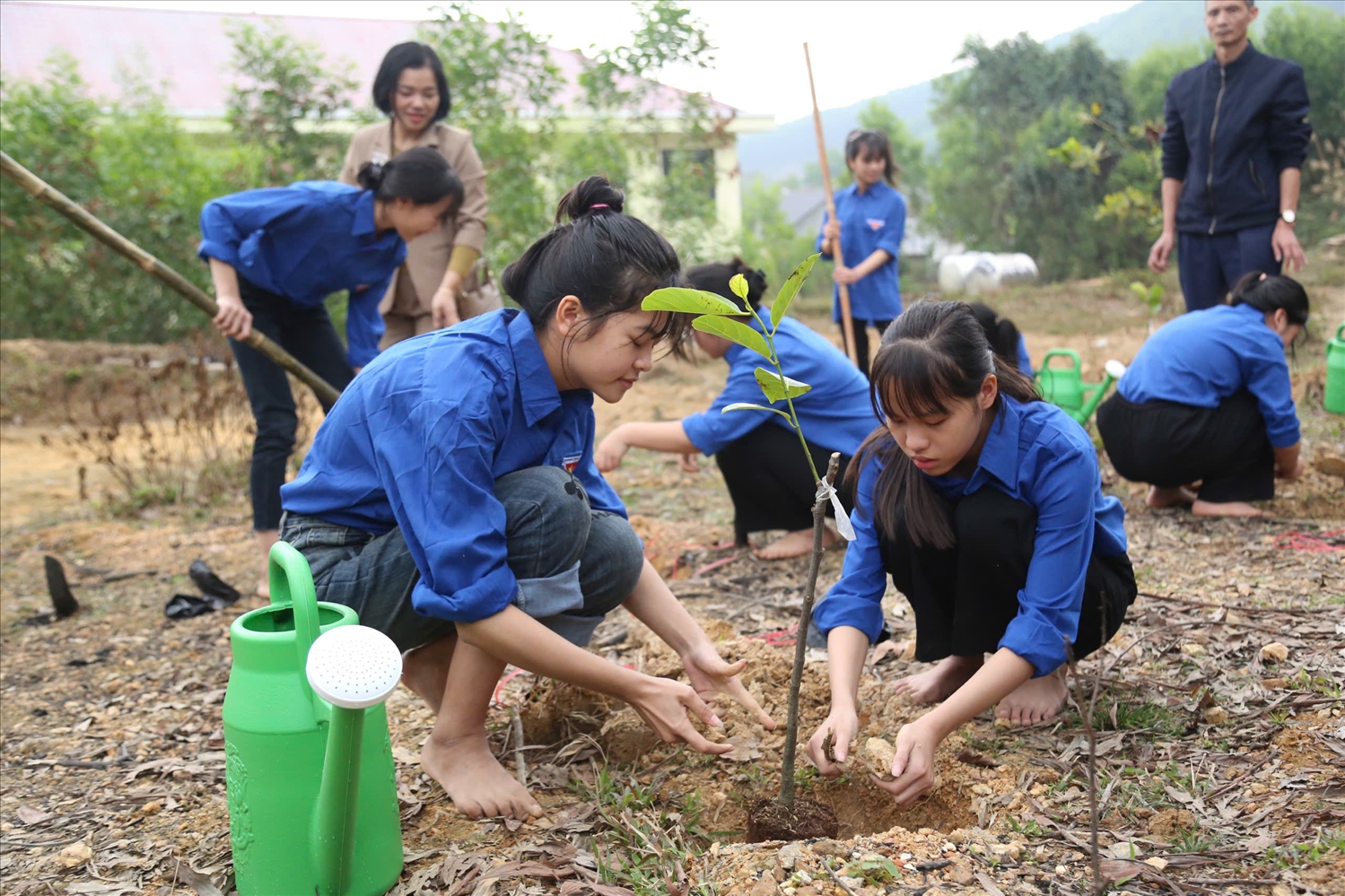 Đoàn viên, thanh niên tham gia trồng cây xanh