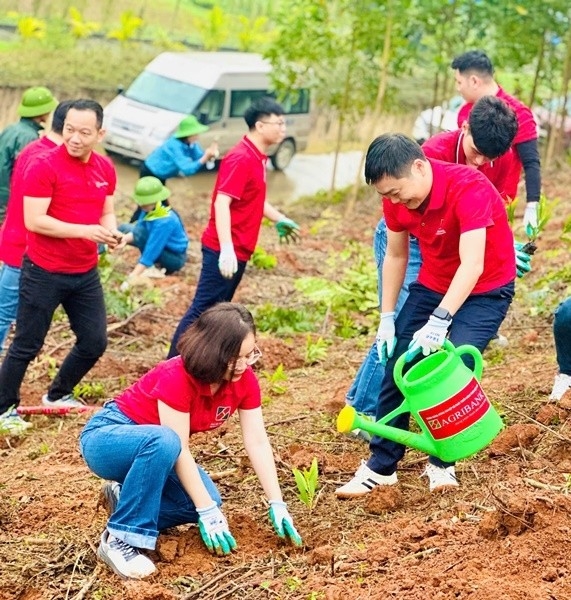 Cán bộ, nhân viên Agribank Nam Thanh Hóa và đoàn thanh niên xã Mậu Lâm ra quân trồng cây