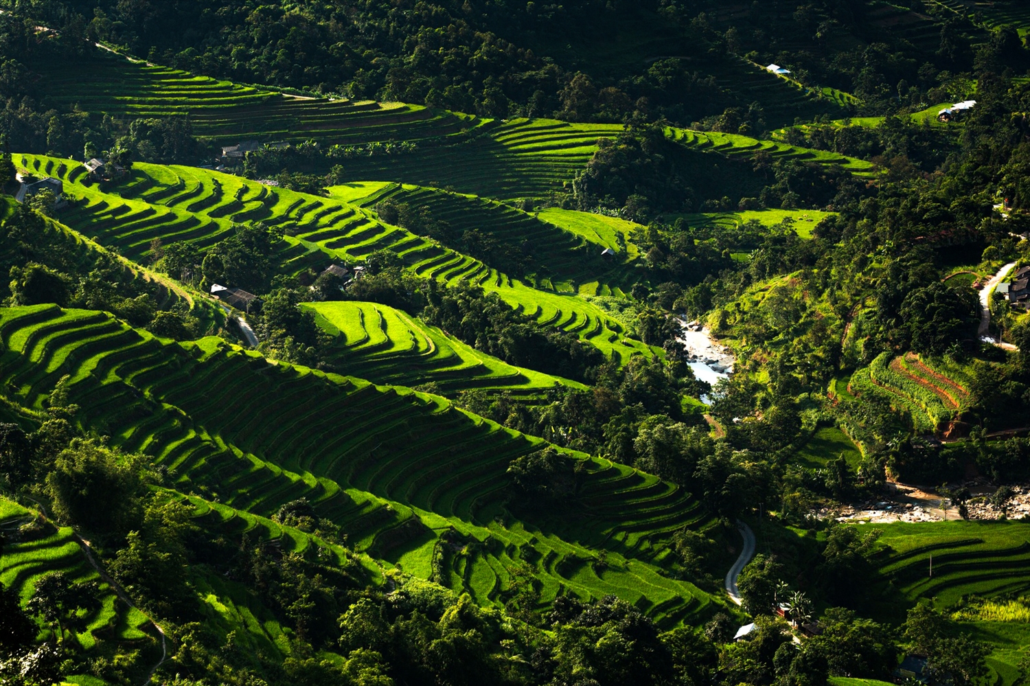 Vẻ đẹp hùng vĩ của ruộng bậc thang Hoàng Su Phì