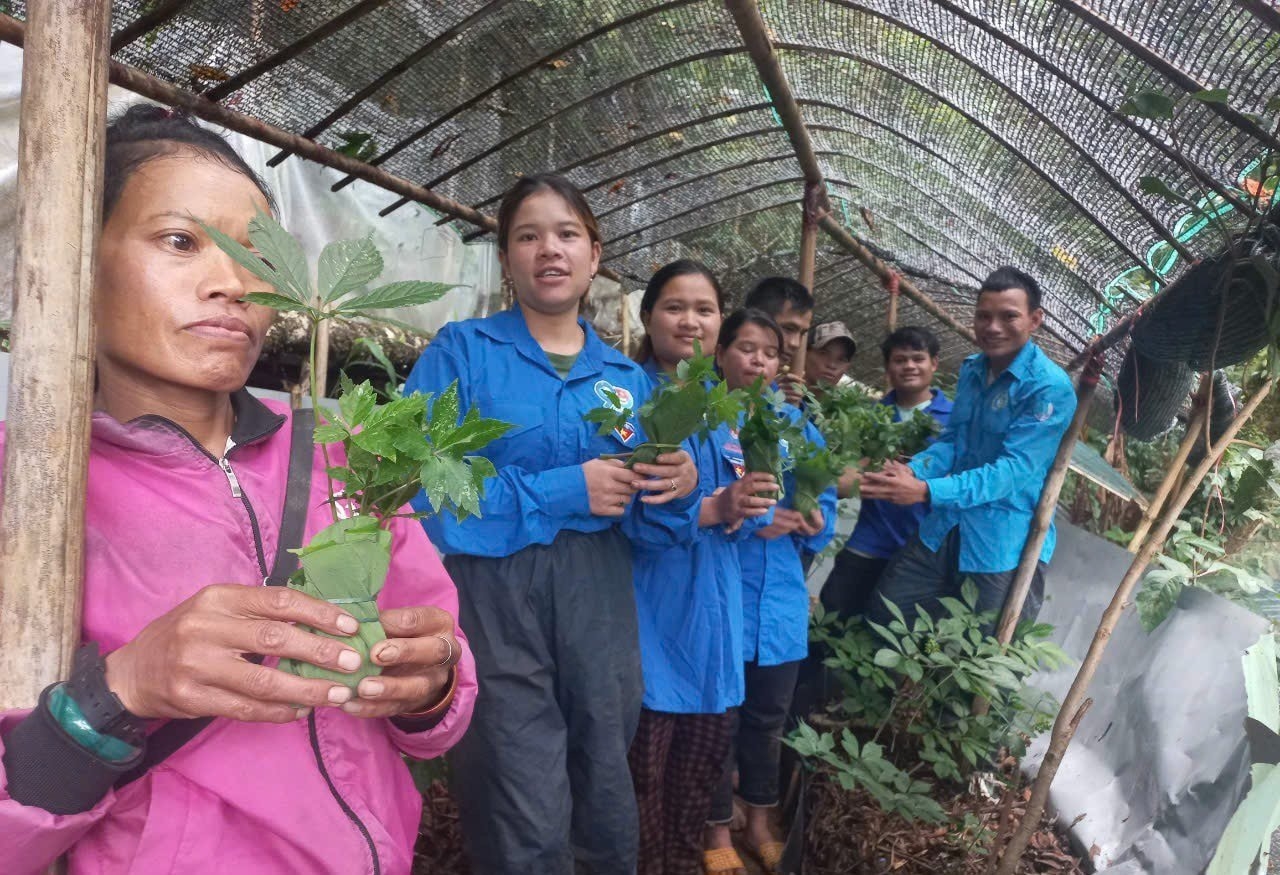 Anh Hồ Văn Dấu - Phó Bí thư Đoàn xã Trà Linh tặng sâm cho người nghèo. (Ảnh NVCC).