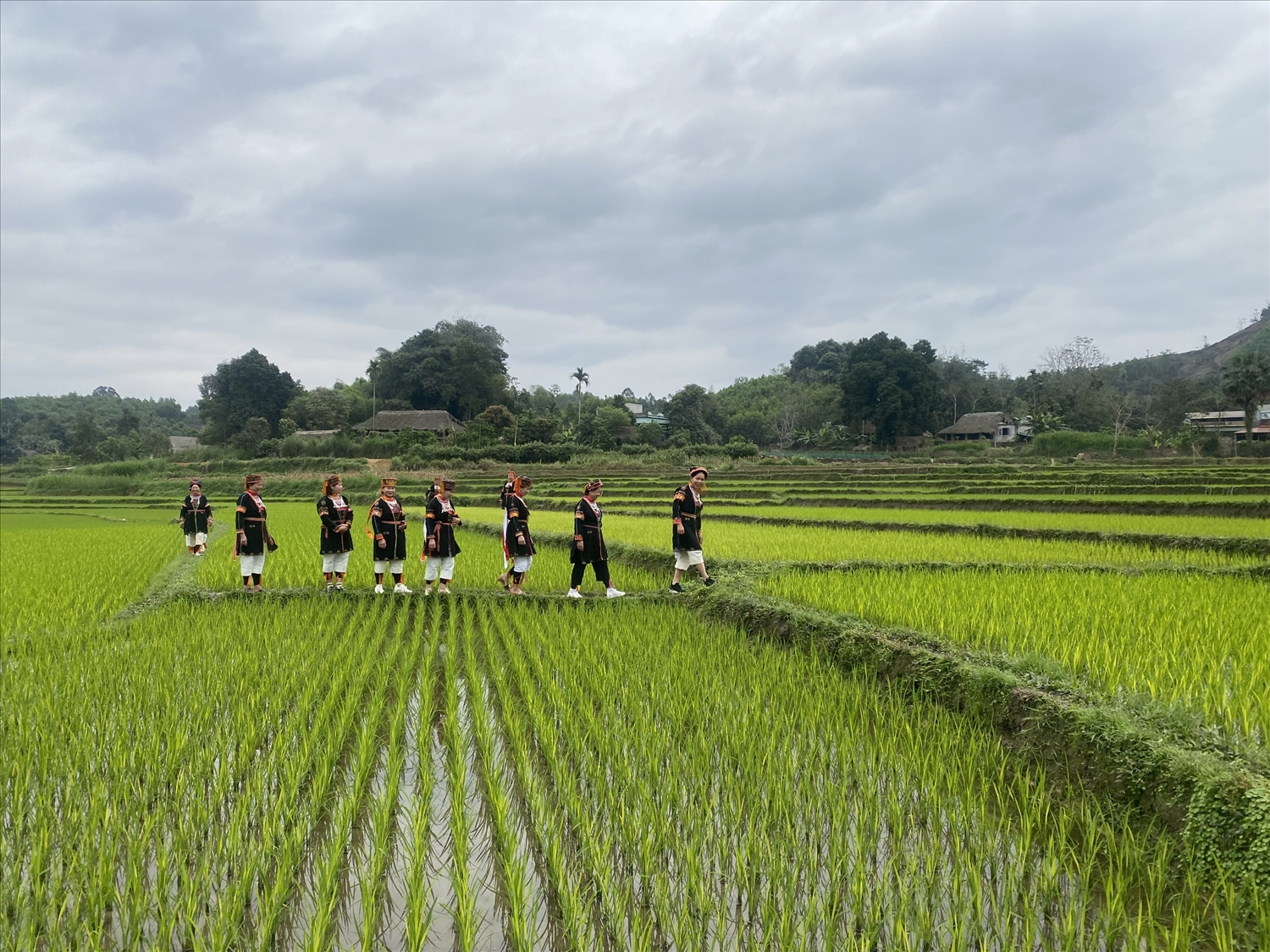 (TIN) Tuyên Quang: Thực hiện các giải pháp hỗ trợ nông dân, phát triển nông nghiệp, kinh tế nông thôn bền vững