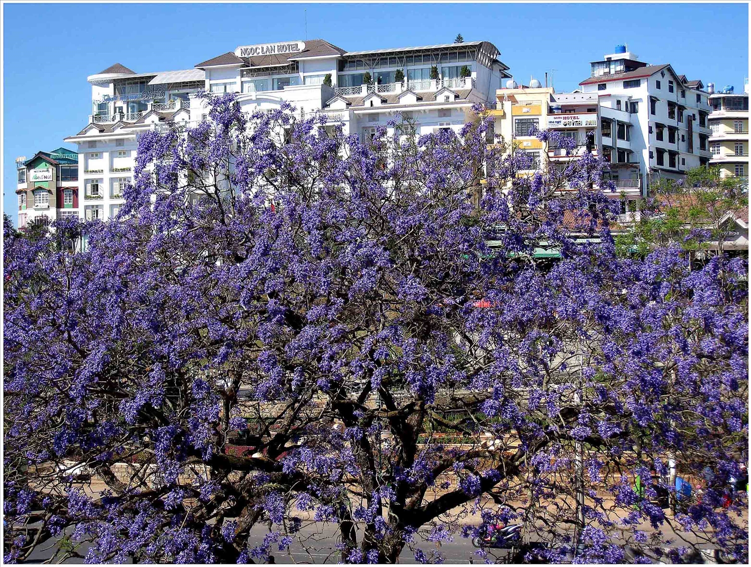 Bâng khuâng Đà Lạt