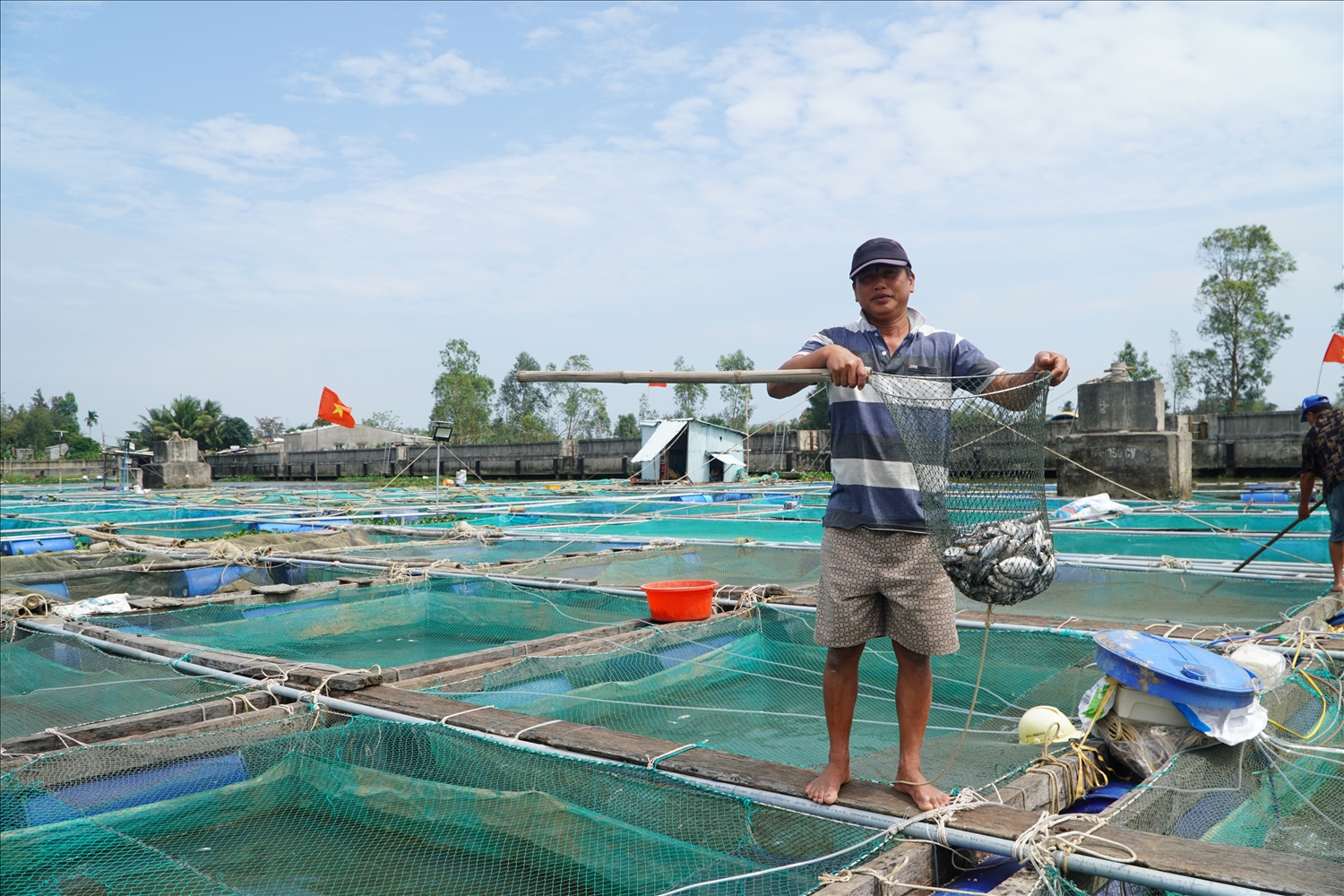 Nguyên nhân cá chết đang được cơ quan chức năng xác minh.