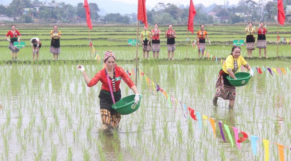 Đồng bào Thái ở xã Châu Hạnh, huyện Quỳ Châu thực hành Lễ hội Lồng tồng đầu năm - ảnh Lữ Nghĩa 