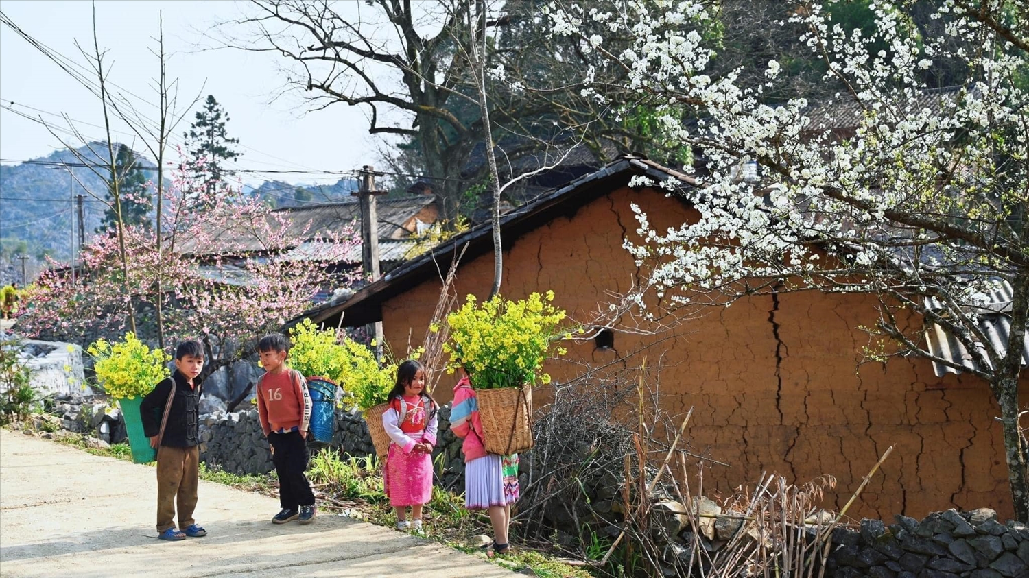 Xuân về vùng Cao nguyên đá Hà Giang